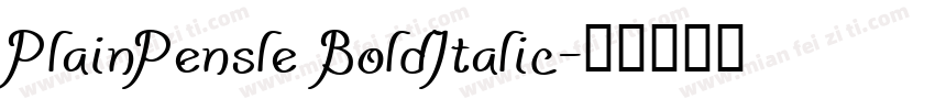 PlainPensle BoldItalic字体转换